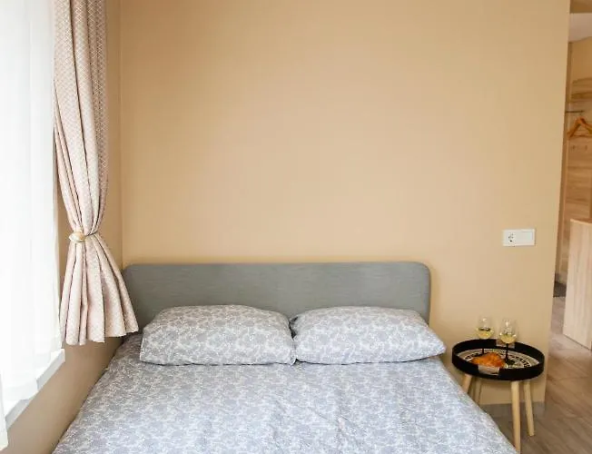 Chill&go Appartamento Kaunas